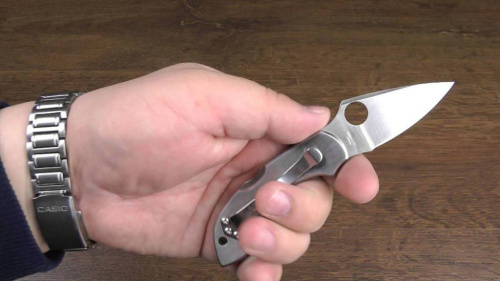 Складной нож Spyderco Dragonfly 2 - 28P фото 23