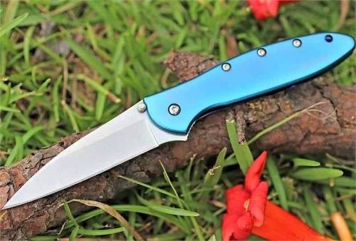 5891 Kershaw Leek - 1660TEAL фото 3