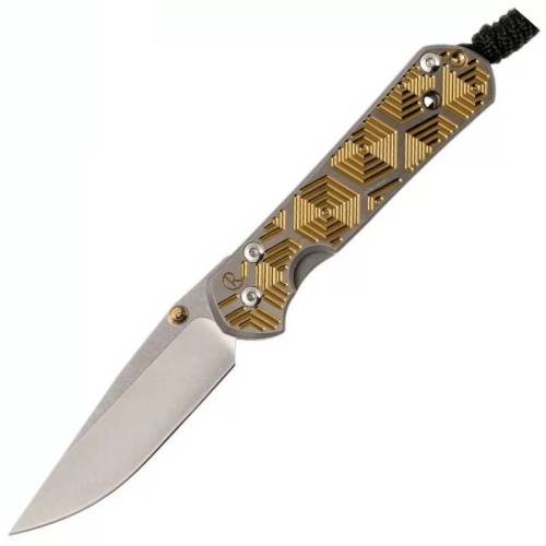 5891 Chris Reeve Large Sebenza 21 Gold фото 6