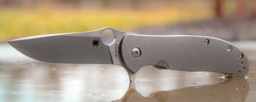 5891 Spyderco Advocate by Gayle Bradley - C214TIP фото 10